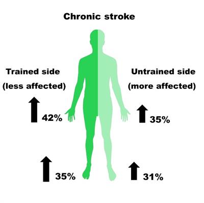 essr blog Training the Nervous System after Stroke