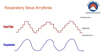 respiratory sinus arrythmia