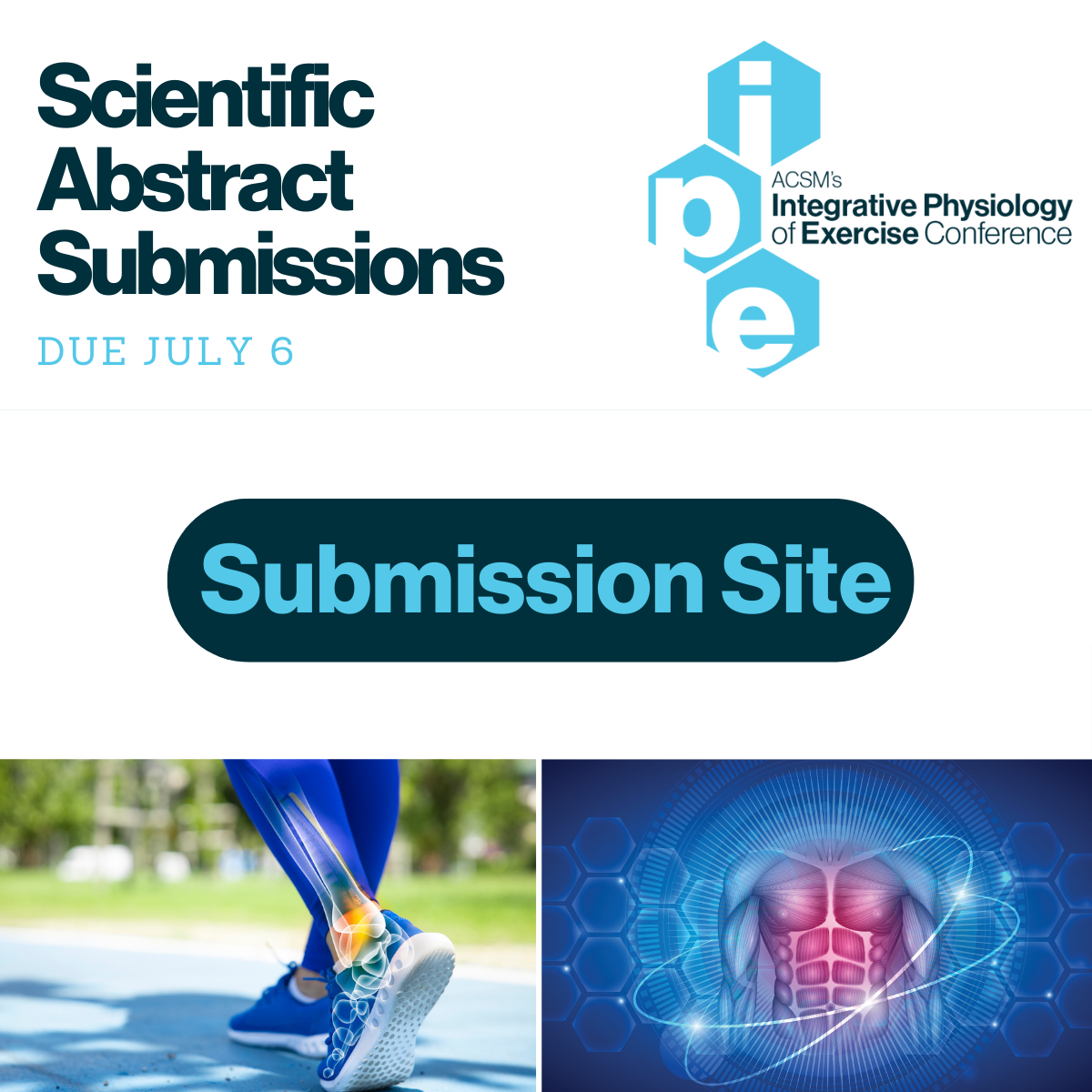 IPE Submission Site Open